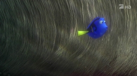 nemo210