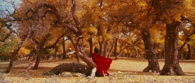 Hero_0630