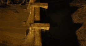 immortals529