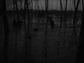 IvansChildhood_319
