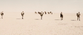 jarhead195