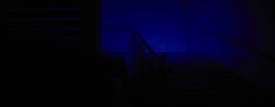LaLaLand_274