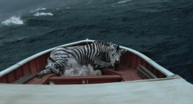 lifeofpi205