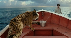 lifeofpi274