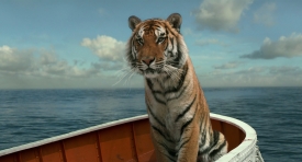 lifeofpi277