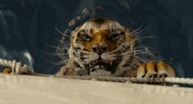 lifeofpi290