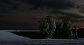 lifeofpi295