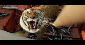 lifeofpi320