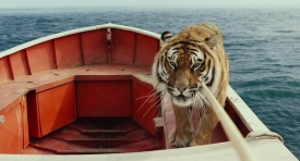 lifeofpi331