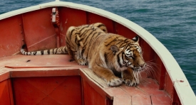 lifeofpi333