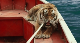 lifeofpi335