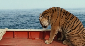 lifeofpi340