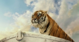 lifeofpi344