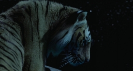 lifeofpi357