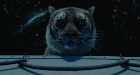 lifeofpi359