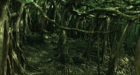 lifeofpi406