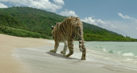 lifeofpi443