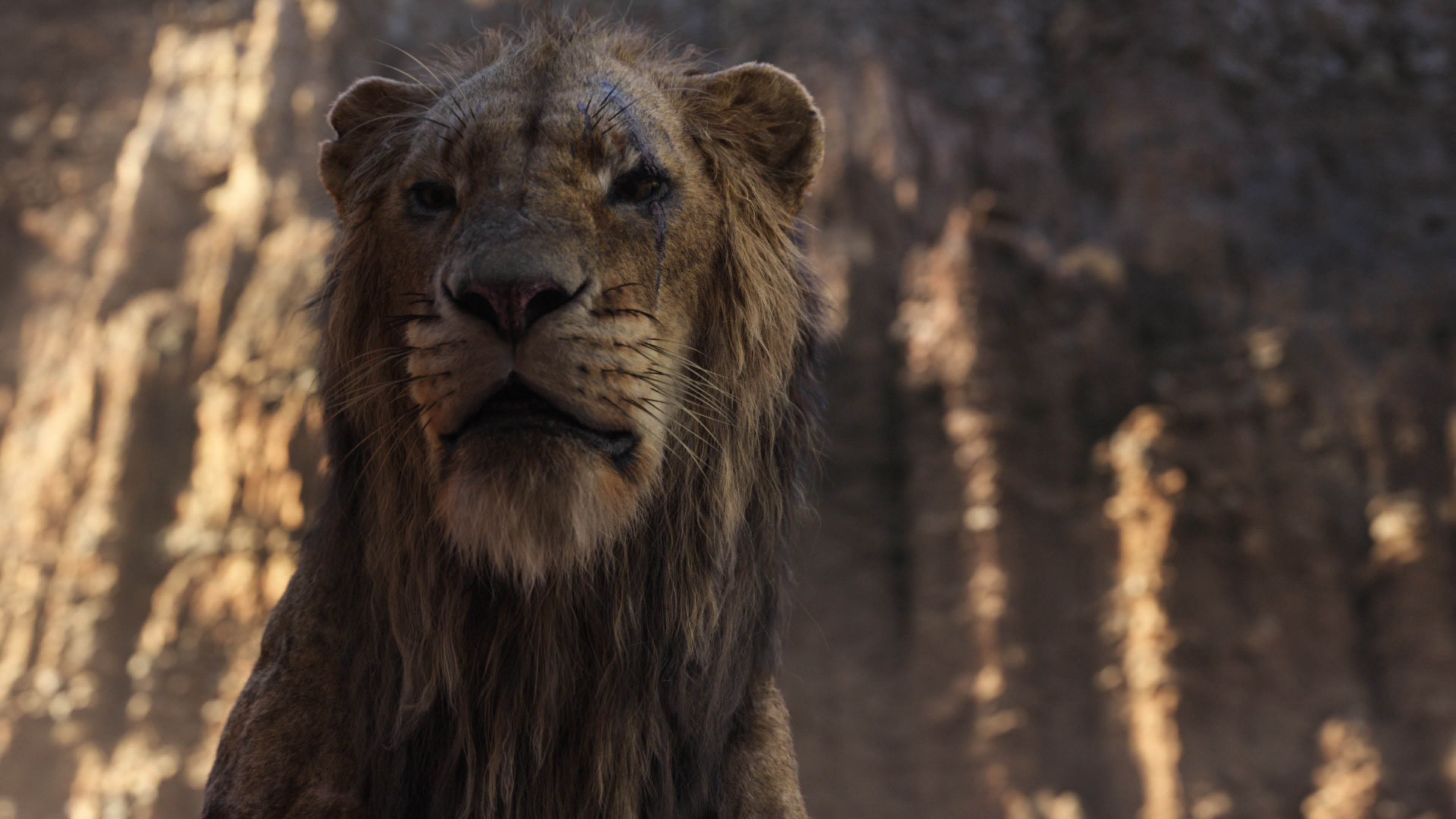 Король лев 2019 года. Король Лев 2019. Чиветель Эджиофор Король Лев. Король Лев 2019 кадры.