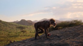 LionKing_025