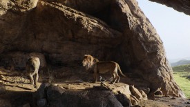 LionKing_063