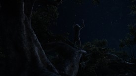 LionKing_093