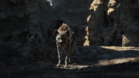 LionKing_239