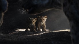 LionKing_242
