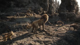 LionKing_260