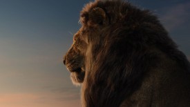 LionKing_272