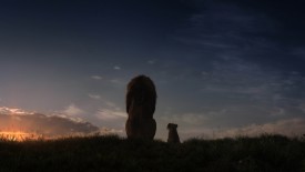 LionKing_278