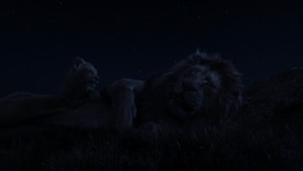 LionKing_284