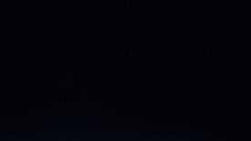 LionKing_289