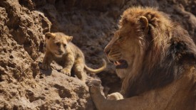 LionKing_351