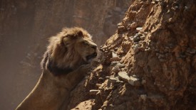LionKing_355
