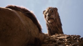 LionKing_358