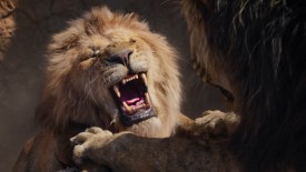 LionKing_361