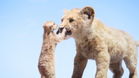 LionKing_431