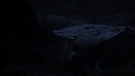 LionKing_496