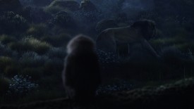 LionKing_602