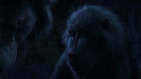 LionKing_624