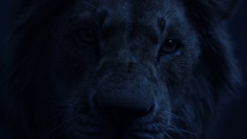 LionKing_625