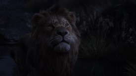 LionKing_633