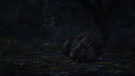 LionKing_637