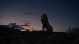 LionKing_638