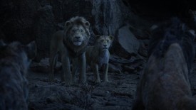 LionKing_686