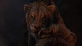 LionKing_696