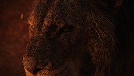 LionKing_729