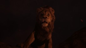 LionKing_735