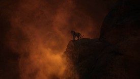 LionKing_736