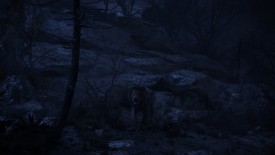 LionKing_746
